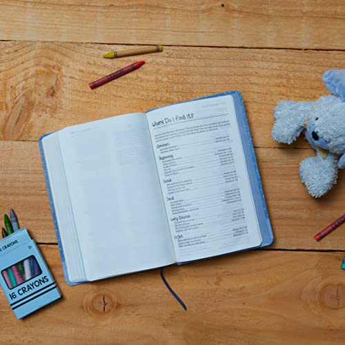 ICB, Precious Moments Bible, Leathersoft, Pink: International Children's Bible