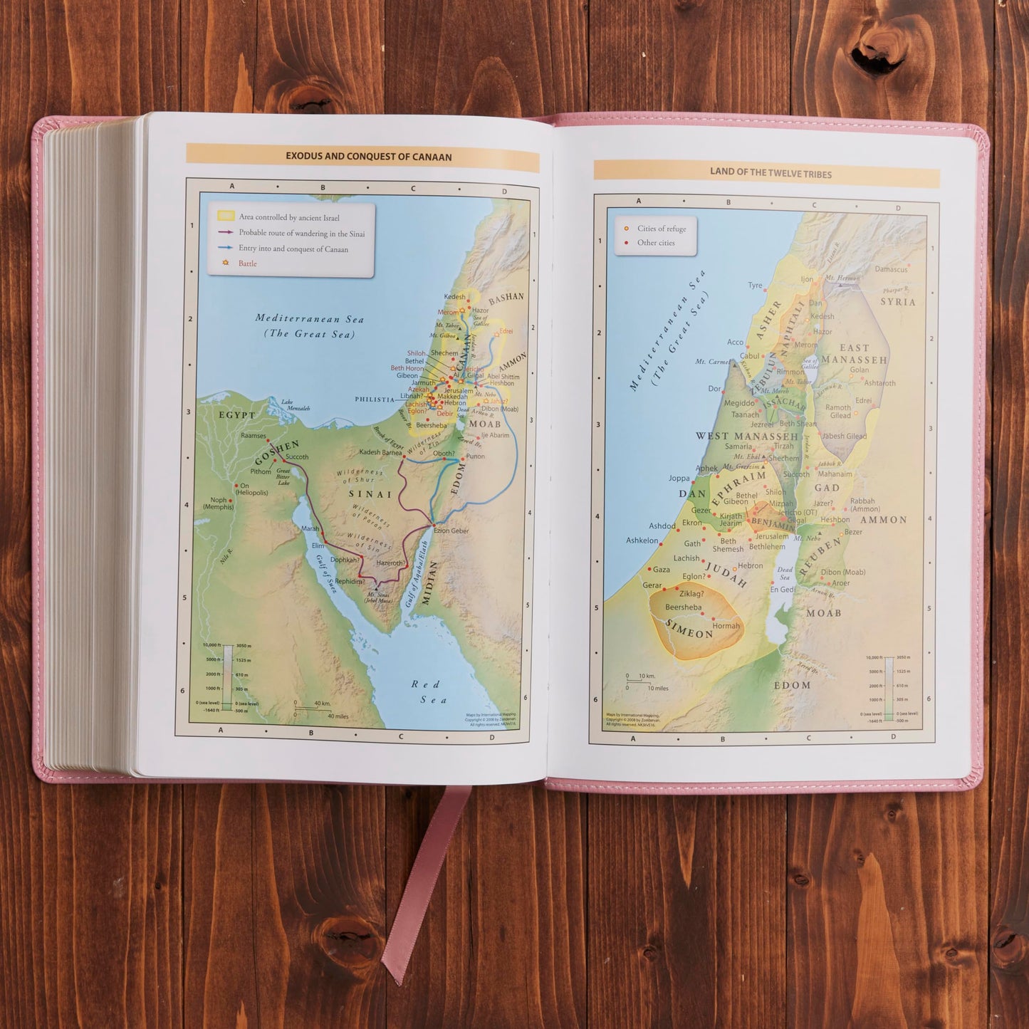 KJV Holy Bible: Large Print with 53,000 Center-Column Cross References, Pink Leathersoft, Red Letter, Comfort Print: King James Version