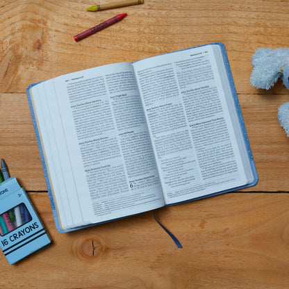 ICB, Precious Moments Bible, Leathersoft, Pink: International Children's Bible